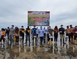 5.000 Bibit Pohon Ditanam di Kutim, Oleh KPC, Bakrie Amanah dan Lanal Sangatta