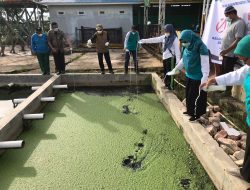 Bupati Turun ke PIS Sosialisasikan Bio Bakteri di IPAL PIS