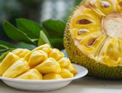 5 Manfaat Buah Nangka Untuk Kesehatan: Turunkan Kadar Kolesterol, Jaga Kesehatan Pencernaan