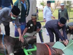 Bupati Kutim dan Wabup Hadir di Penyembelihan Hewan Qurban Masjid Agung Al Faruq