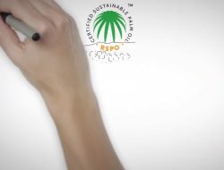 Kaltim Satu-Satunya Daerah Yang Masuk Dalam Konsep Carbon Trade