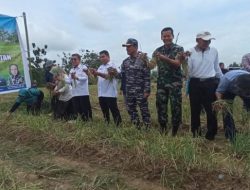 Panen Perdana Bawang Merah di Desa Singa Geweh, Ardiansyah Yakin Akan Jadi Varietas Lokal