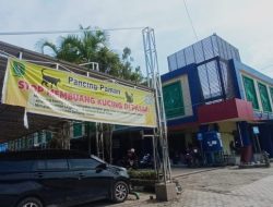 Masuk Dalam Penilaian Pasar, Masyarakat Diminta Jangan Buang Kucing di Pasar Induk