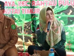 Pola Pakan Ternak Tentukan Keberhasilanan Peternakan Mandiri