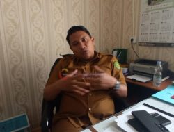 10 Ribu Bibit Pisang Grecek Akan Dibagikan Kepada Poktan di Bengalon
