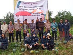 Bupati Ardiansyah Sebut Hasil Produk Holtikultura Kutim Berkualitas