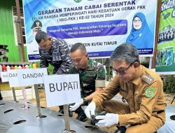 Bupati Kutim Ardiansyah Sulaiman Turut Tanam Cabe Serentak Dalam Rangka HKG PKK ke 52