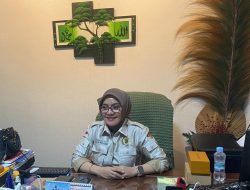 Laila Minta Pertamina Hentikan Supply BBM ke Pertamini Agar Tak Menjamur