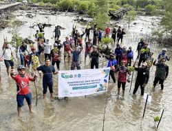 KTNA dan Komunitas Alien Mangrove Lakukan Penanaman Mangrove untuk Jaga Terumbu Karang