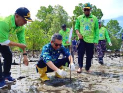 Pemkab Kutim Gelar Aksi Sulam Mangrove, Tanam Terumbu Karang dan Bersihkan Sampah di Kawasan Pantai Teluk Lingga
