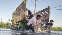 Tunjukkan Kepeduliaannya PT Agro Bumi Kaltim Lakukan Perbaikan Jalan Penghubung Kenohan – Kota bangun