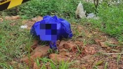 Geger, Mayat Bayi Ditemukan Terbungkus Kantong Plastik di Aliran Kanal 2
