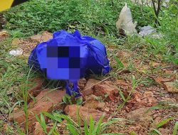 Geger, Mayat Bayi Ditemukan Terbungkus Kantong Plastik di Aliran Kanal 2